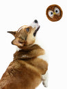 HugSmart-peluche-interactive-pour-chien-chiot-chouette