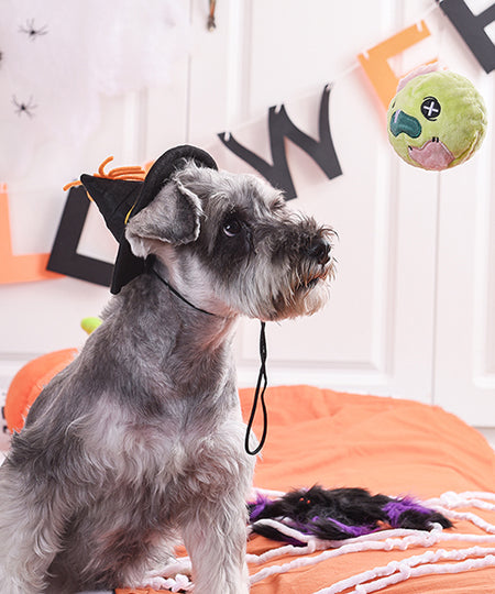 HugSmart-peluche-interactive-pour-chien-chiot-howloween-zombie