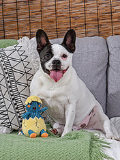     HugSmart-peluche-interactive-pour-chien-chiot-oeuf-dinosaure