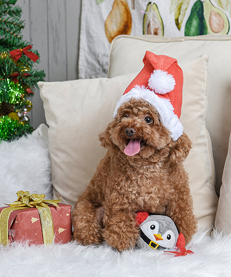        HugSmart-peluche-interactive-pour-chien-chiot-pingouin-noel