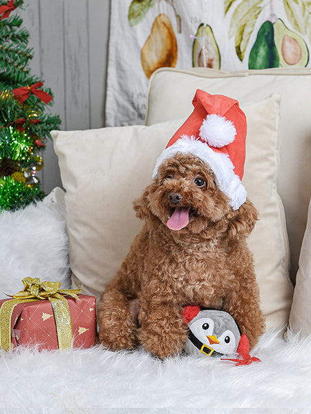 Peluche pour chien - Lutin de Noel - Pet PLAY – inooko