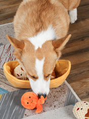 HugSmart-peluche-interactive-pour-chien-chiot-takoyaki