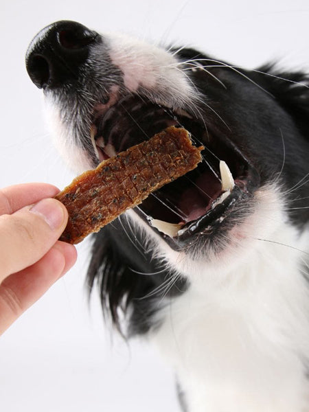 Irish Pure, alimentation et friandises pour chien enrichit en kelp – inooko