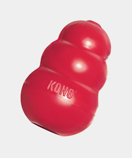 Jouet KONG Original pour chien