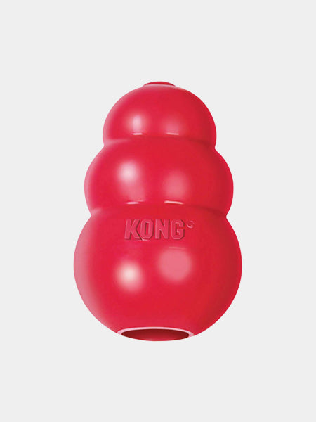 Jouet KONG Original pour chien
