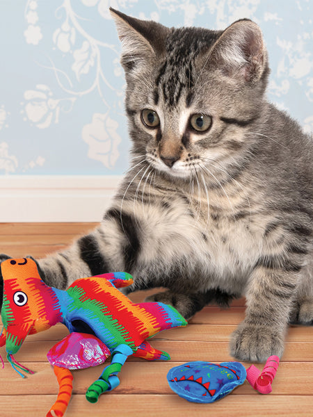       Jouet-interactif-KONG-herbe-a-chat-chat-Pull-A-Partz-Pinata