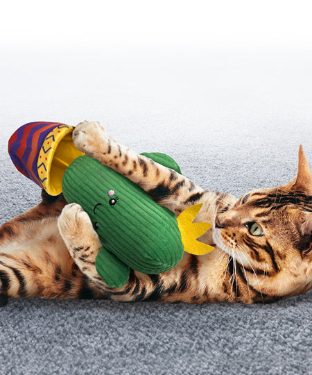     Jouet-pour-chat-herbe-a-chat-KONG-Wrangler-Cactus