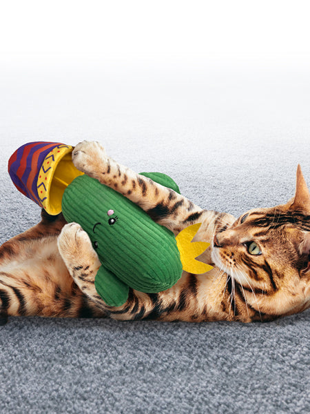    Jouet-pour-chat-herbe-a-chat-KONG-Wrangler-Cactus