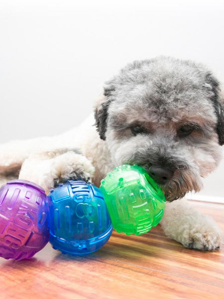     Jouet-puzzle-KONG-lock-it-Small