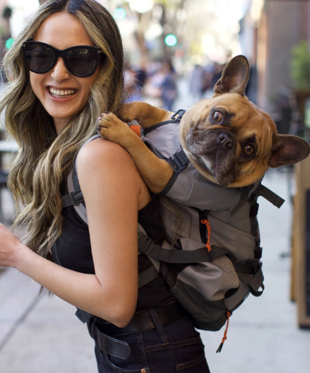    K9-Sport-Sack-Urban-3-sac-a-dos-transport-chien-gris