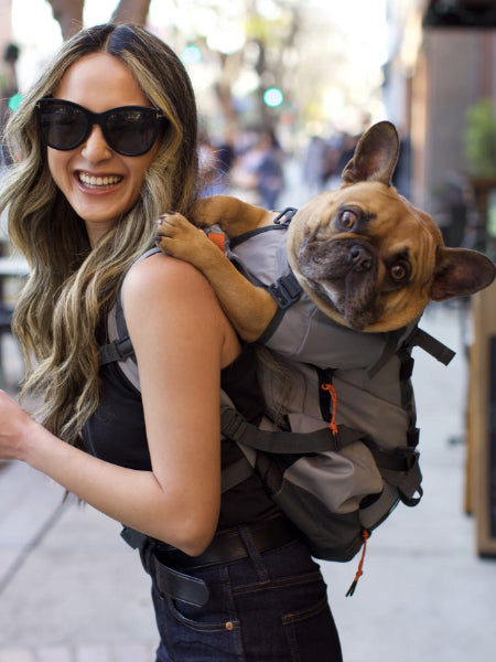 Sac à Dos Transporteur Pour Petit Chien Jusqu'à 5 Kg - Bretelles Réglables, Respirant - Pour Randonnée, Voyage (Noir, M) - 4