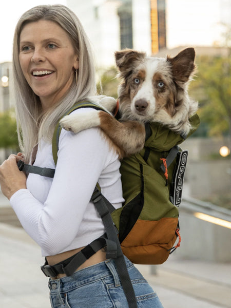 à Dos Chien Sac De Transport Chien 15 Kg à Dos Chien Sac Transport