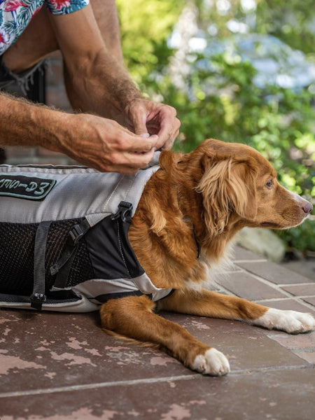     K9-Sport-Sack-air-2-noir-sac-a-dos-transport-chien-gris
