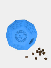 Kiwi-walker-Jouet-occupation-pour-chien-Dodecaball-bleu