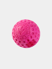 Kiwi-walker-balle-TPR-pour-chien-chiot-rose