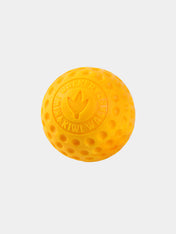 Kiwi-walker-jouet-TPR-pour-chien-chiot-balle-orange
