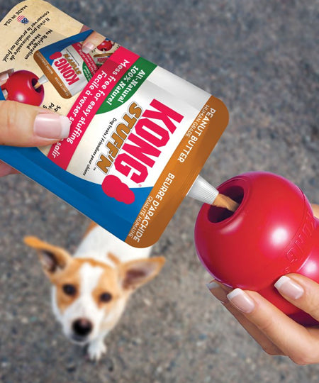       Kong-Stuff_N-Peanut-Butter-beurre-de-cacahuete-pour-chien