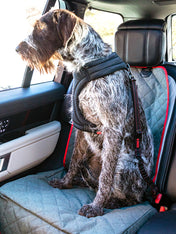 Kong-ceinture-de-securite-voiture-premium-chien-chiot