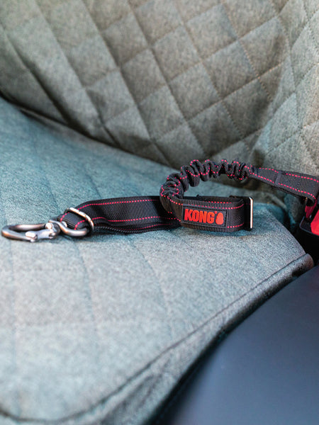 Harnais Ceinture De Sécurité Universel Pour Chien Et Chat KYLOS - Ajustable 45-65cm, Absorption Des Chocs, Certification Européenne - Pour Voiture - 7