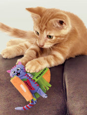 Kong-jouet-pour-chat-Pull-A-Partz-Purrito