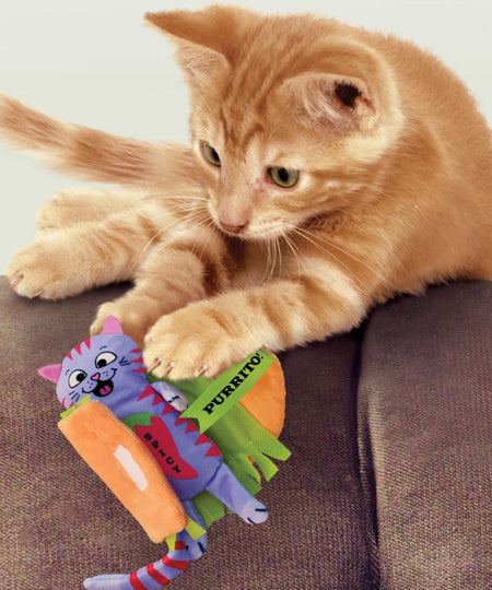 Kong-jouet-pour-chat-Pull-A-Partz-Purrito