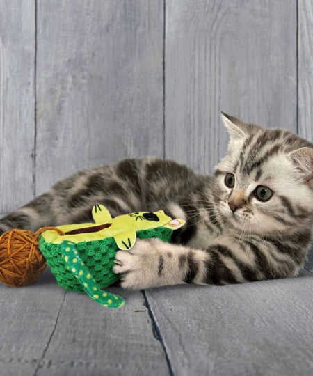 Kong-jouet-pour-chat-Wrangler-AvoCATo