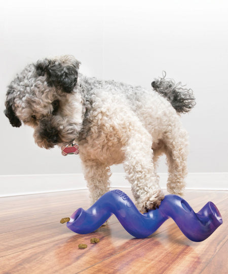 Kong-jouet-pour-chien-Treat-Spiral-Stick