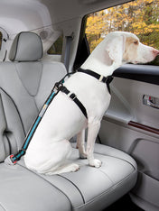 Kurgo-voyager-en-securite-avec-son-chien