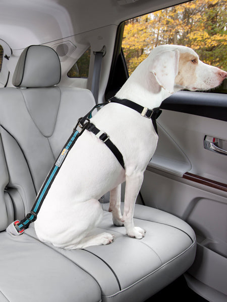 Kurgo-voyager-en-securite-avec-son-chien