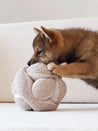       Lambwolf-Collective-jouet-BALLE-FOUILLE-design-minimalist-pour-chien-MONTI-sable