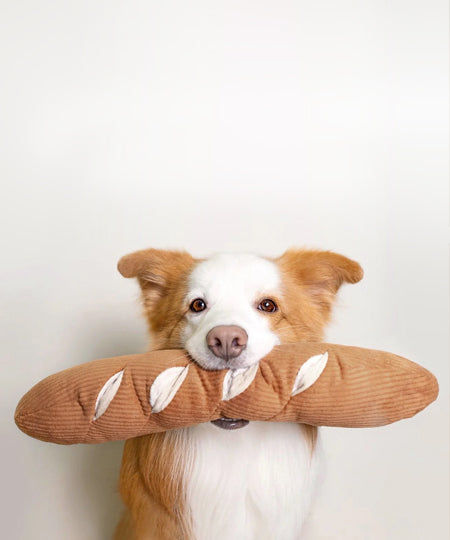       Lambwolf-Collective-jouet-design-minimalist-pour-chien-Baguette