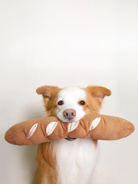       Lambwolf-Collective-jouet-design-minimalist-pour-chien-Baguette