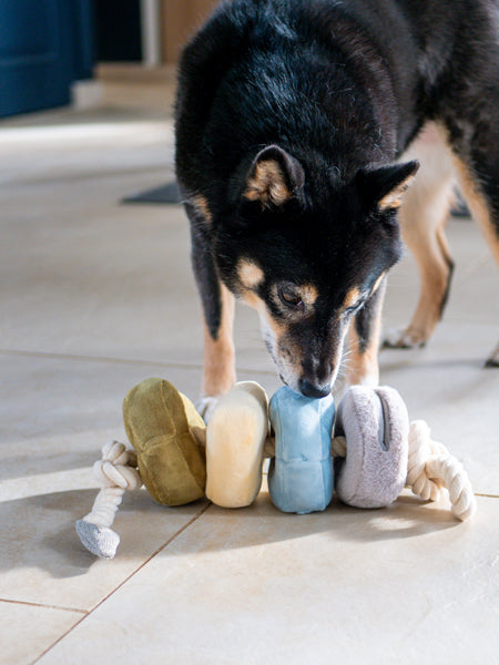     Lambwolf-Collective-jouet-design-minimalist-pour-chien-Blocs-color