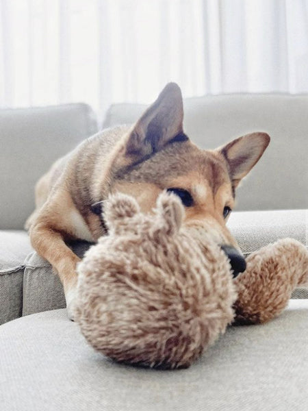     Lambwolf-Collective-jouet-design-minimalist-pour-chien-SQUIRREL-POP