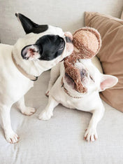     Lambwolf-Collective-jouet-design-minimalist-pour-chien-SQUIRREL-POP