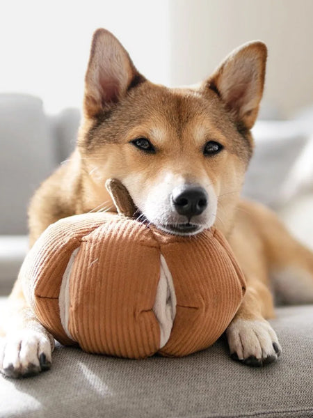       Lambwolf-Collective-jouet-design-minimalist-pour-chien-citrouille