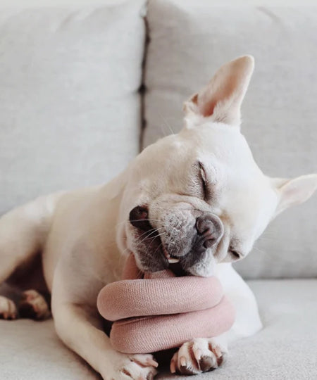       Lambwolf-Collective-jouet-design-minimalist-pour-chien-nounou-rose