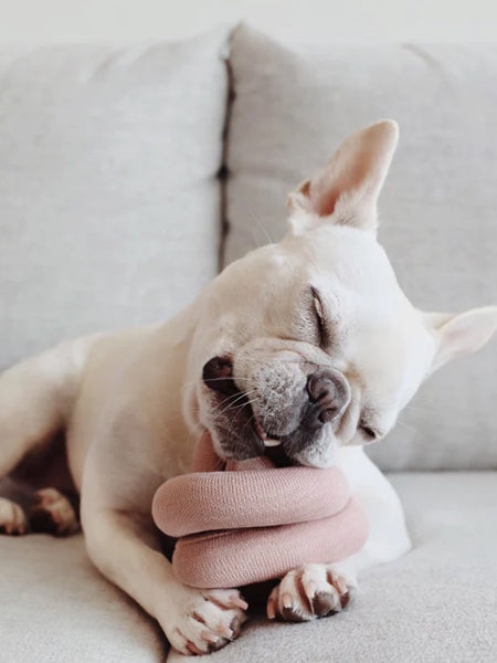       Lambwolf-Collective-jouet-design-minimalist-pour-chien-nounou-rose