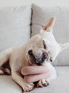       Lambwolf-Collective-jouet-design-minimalist-pour-chien-nounou-rose