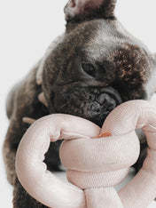       Lambwolf-Collective-jouet-design-minimalist-pour-chien-nounou-rose