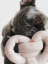       Lambwolf-Collective-jouet-design-minimalist-pour-chien-nounou-rose