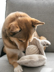     Lambwolf-Collective-jouet-fouille-balle-design-minimalist-pour-chien-huitre-coquillage