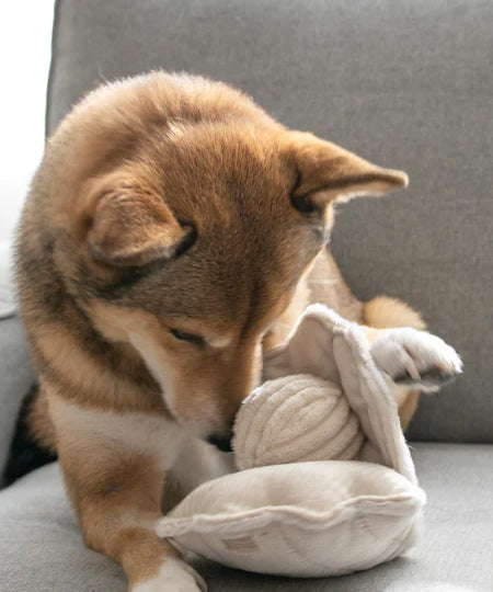     Lambwolf-Collective-jouet-fouille-balle-design-minimalist-pour-chien-huitre-coquillage