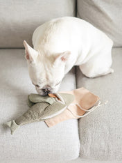     Lambwolf-Collective-jouet-fouille-design-minimalist-pour-chien-flying-fish