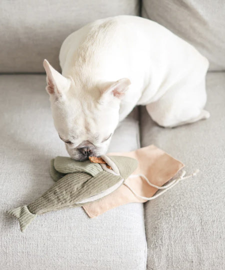     Lambwolf-Collective-jouet-fouille-design-minimalist-pour-chien-flying-fish