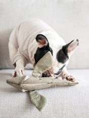     Lambwolf-Collective-jouet-fouille-design-minimalist-pour-chien-flying-fish