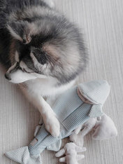       Lambwolf-Collective-jouet-fouille-design-minimalist-pour-chien-truite