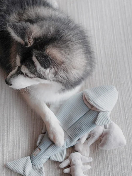       Lambwolf-Collective-jouet-fouille-design-minimalist-pour-chien-truite