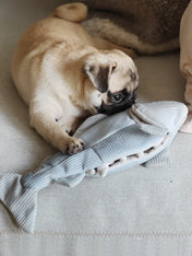       Lambwolf-Collective-jouet-fouille-design-minimalist-pour-chien-truite