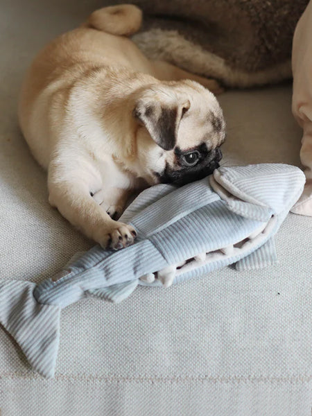       Lambwolf-Collective-jouet-fouille-design-minimalist-pour-chien-truite